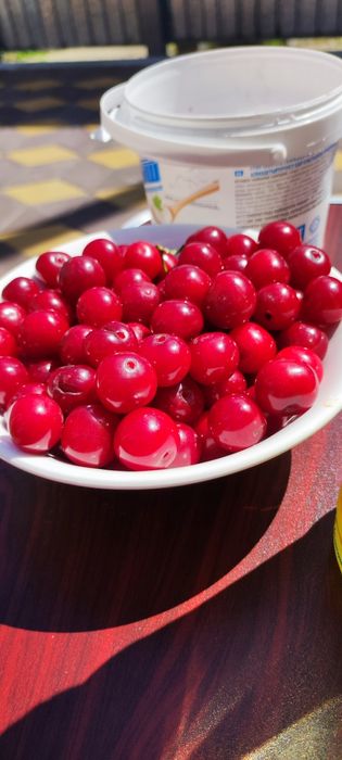 Продам дом в Западном