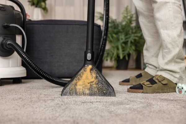 Моющий пылесос Karcher SE 4