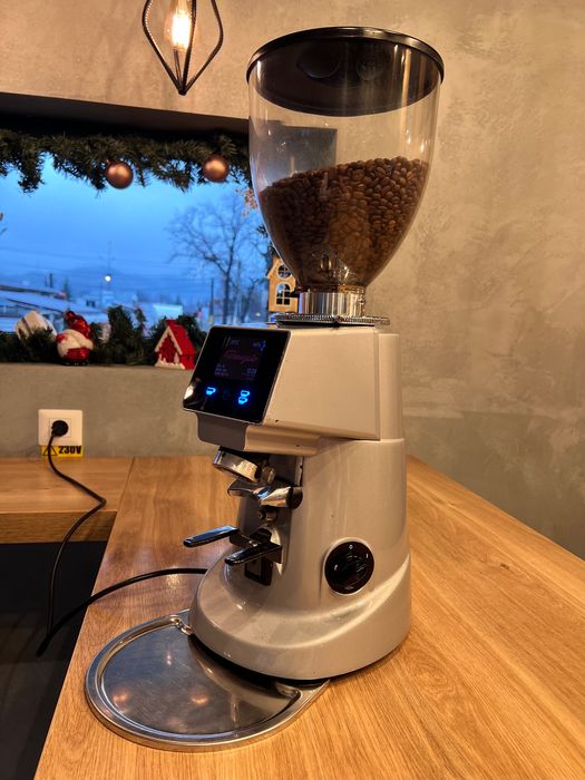 Râșniță de cafea Fiorenzato F64 EVO