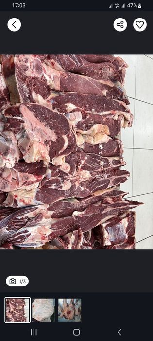 Семіз тайша еті бар