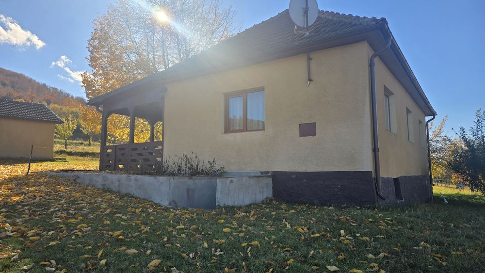 Vand casa si teren la Damiș