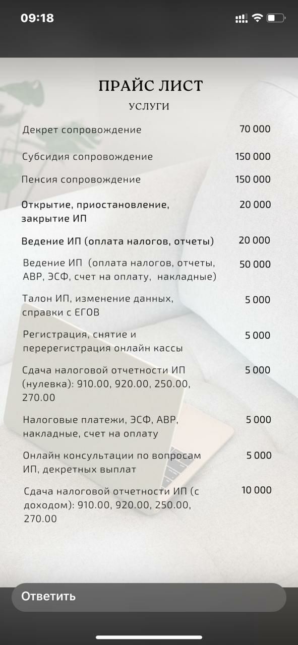 есепшы  Тоо Ип алам
