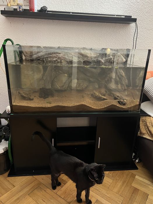 Acvariu 200l 100x40x50 cu stand si substrat jbl si decor 3d