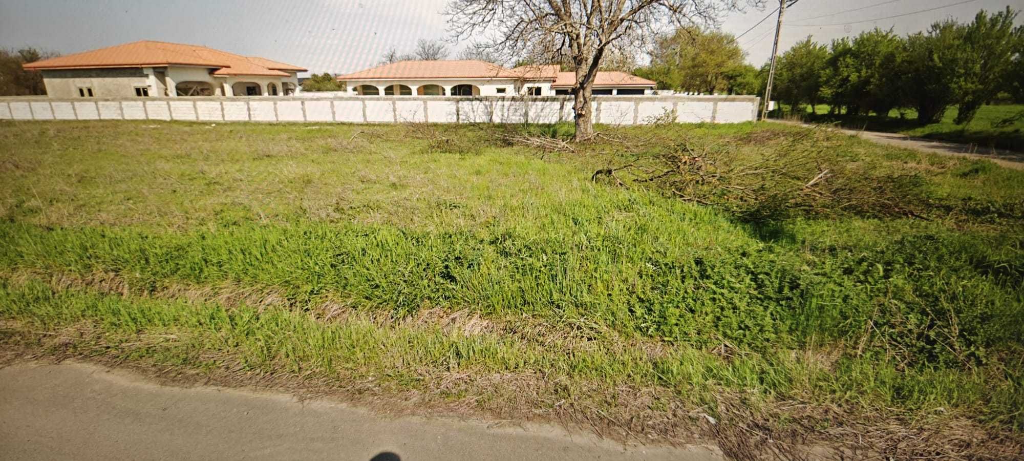 Vând teren 1.200 mp Creața/Dascălu, Ilfov