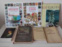 Книги изобразително изкуство