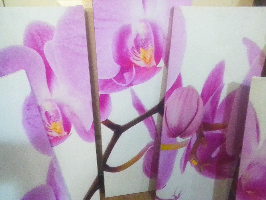 Нежные картины . Всё за 3000!