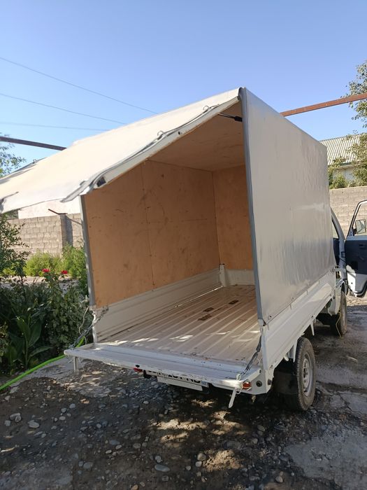 Labo tint kampilik