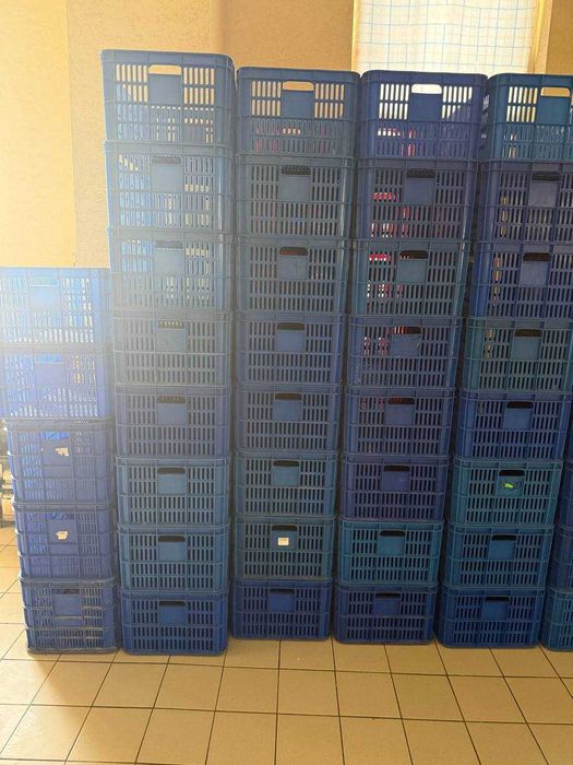 Ящики, Sariq Qizil Kõk