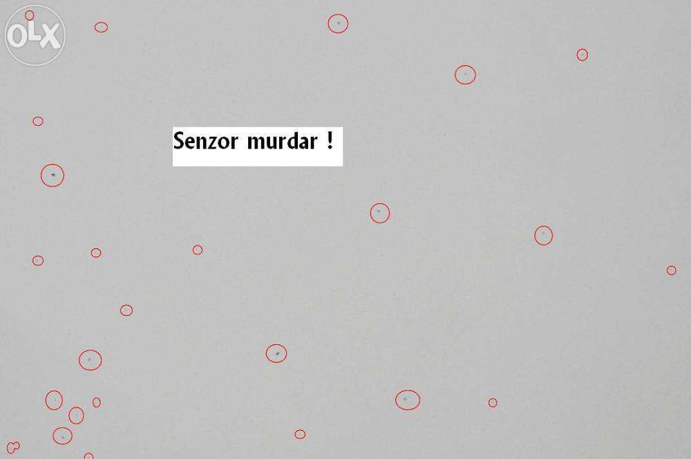 Curatare Senzor Foto - Pe loc !