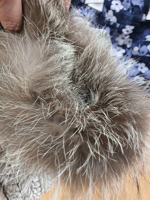 Geaca Post Card dama L