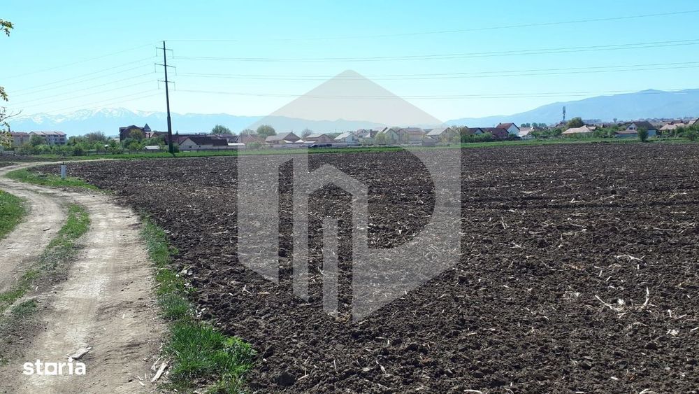 Teren de Vanzare - Extravilan - 23.300mp - Gusterita - 0% Comision