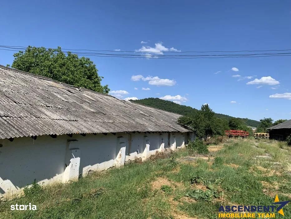 Spatiu comercialIndustrial multifunctional: productie, depozitare, log