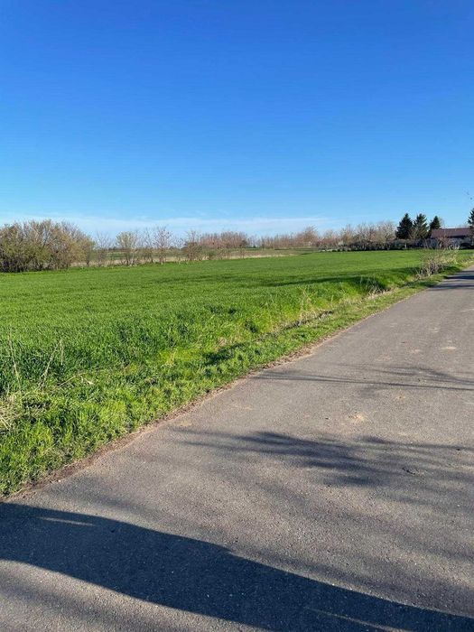 teren intravilan de vânzare 1500mp în Vișini