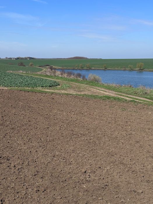 Teren  la balta Crang