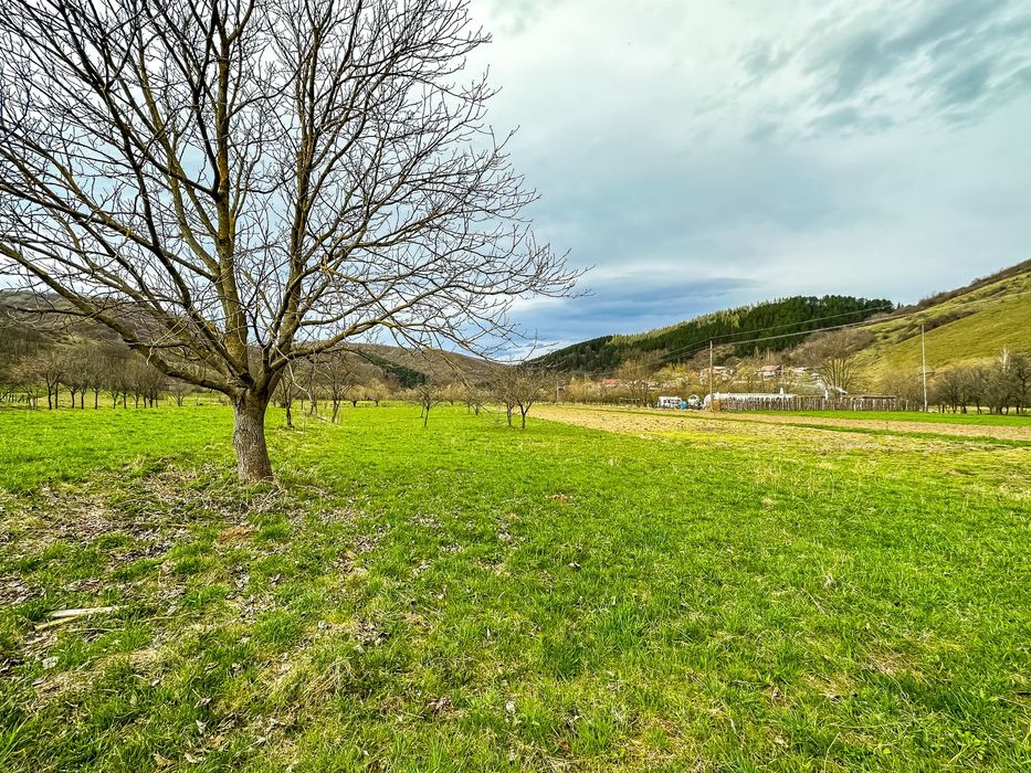 Casă locuibilă + teren mare 6.818 mp, zonă liniștită, – Cota parte 1/2