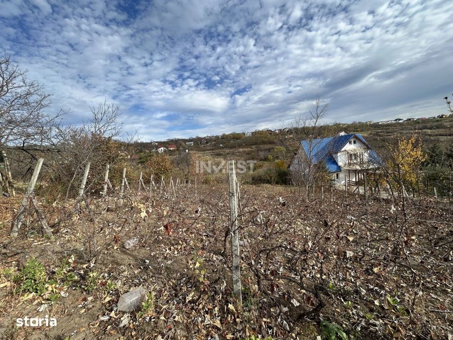 Teren intravilan 766mp,  Dealul Zorilor- Mun IASI