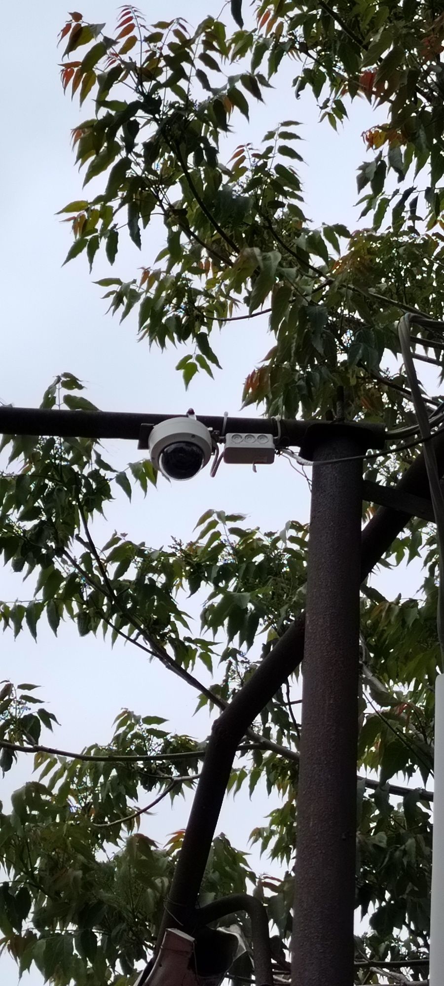 Hikvision камери