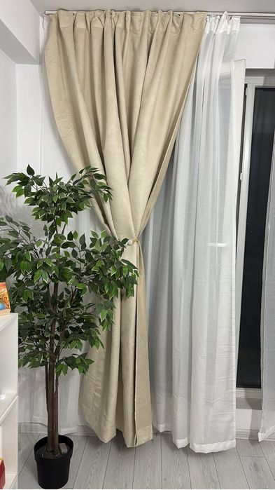 Planta decorativa