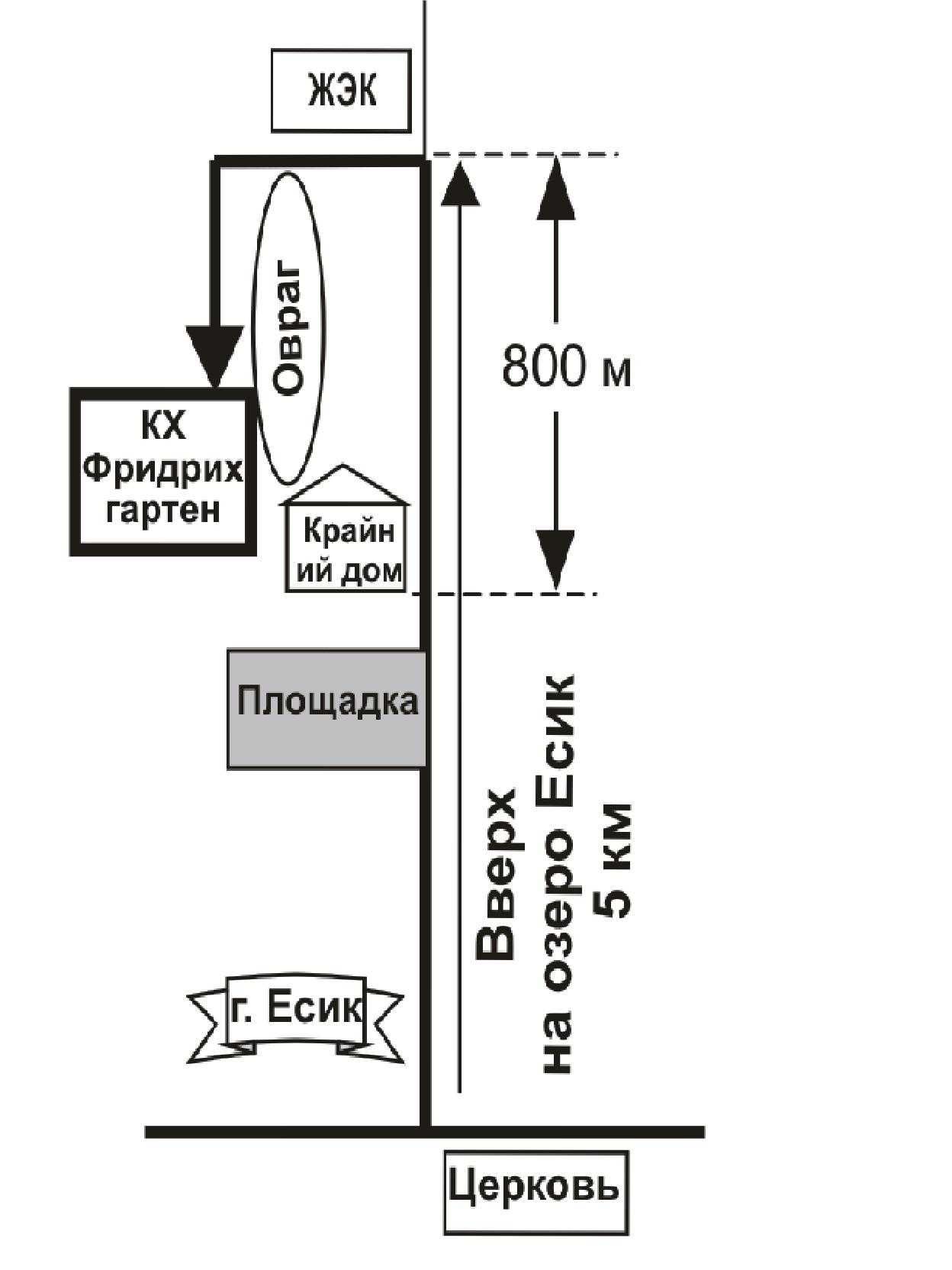 Ель голубая Кайбаб 20000тг. за 1 метр крупномеры Алматы