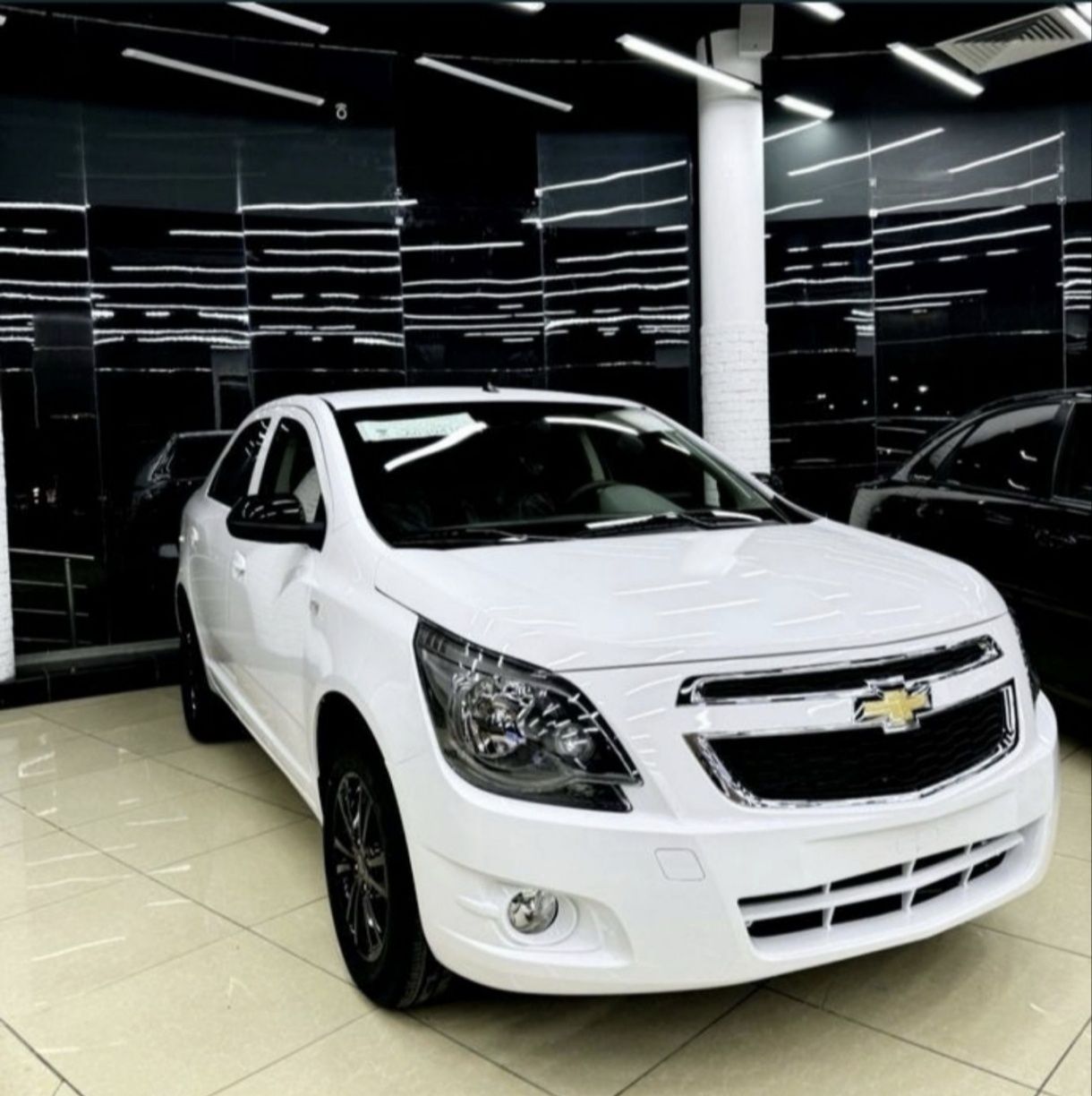Cobalt midnight 2025 Yengi