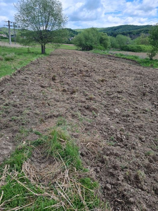 Vând teren în Curtea de Arges