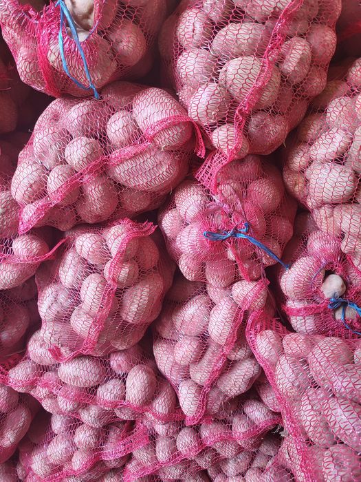 Cartofi consum rosu și alb