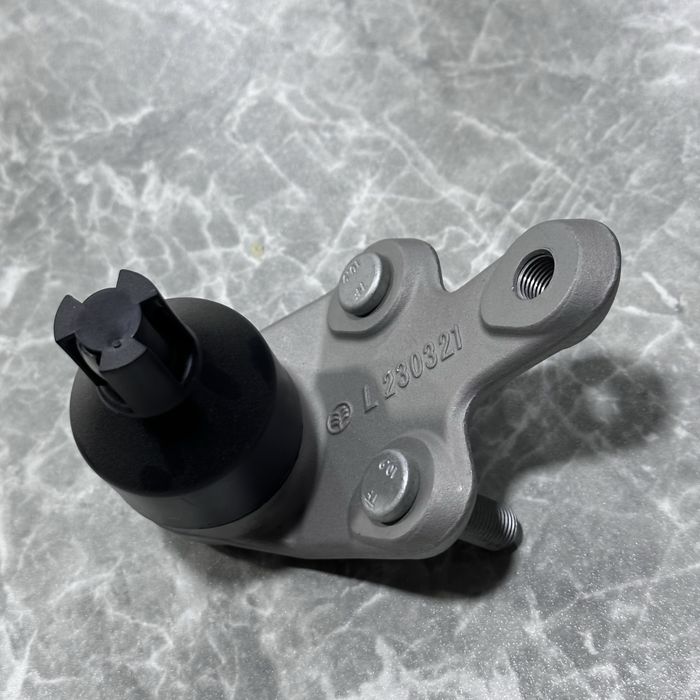 Byd champion sharavoy