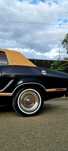 Ford Mustang * Fab. 1977* Raritate Manual* Deosebit V6- unele Variante