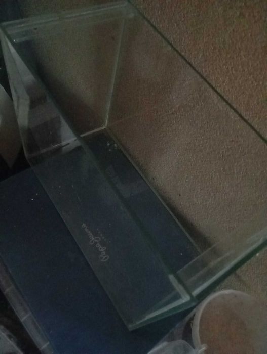 Аквариум на 10 литров примерно