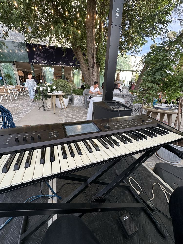 Korg krome keyboard