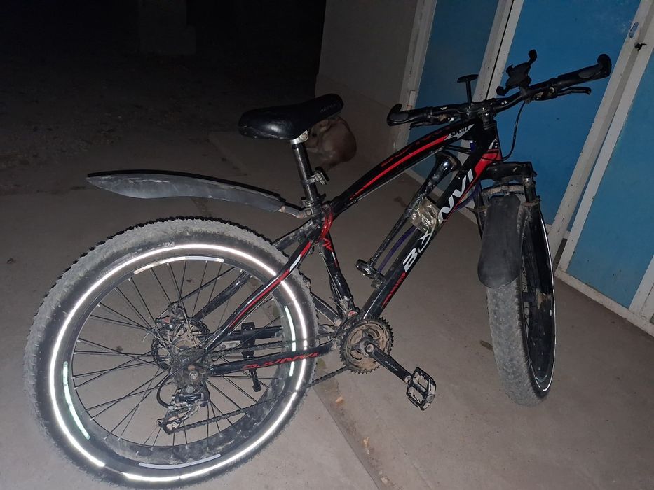 Волосепет 2020 07