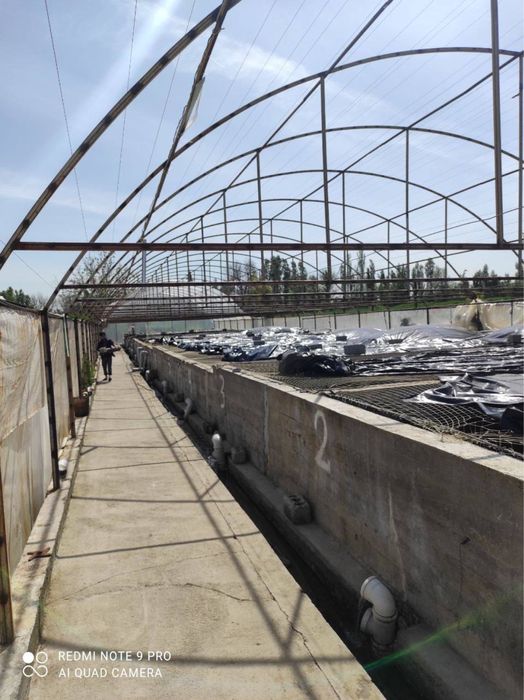 Продается рыбхоз, готовый бизнес