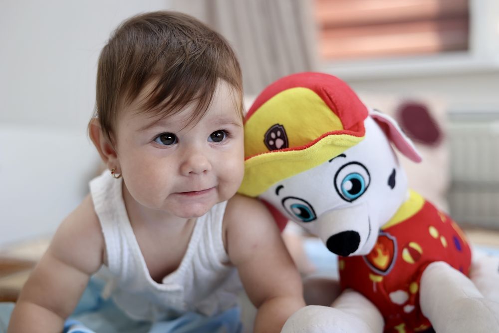 fotograf videograf nunta botez cununie majorat