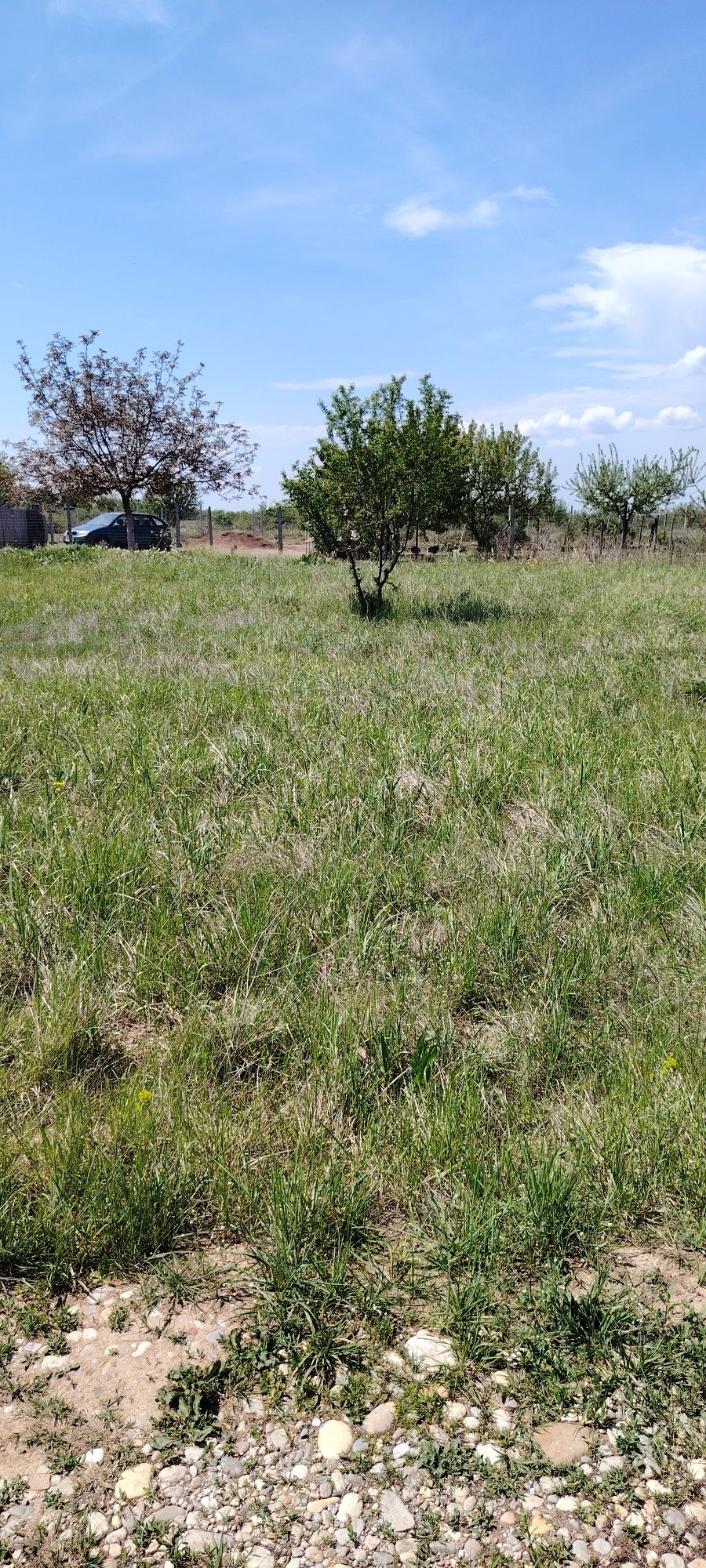 Lot teren intravilan Milcovu din Deal loc casa