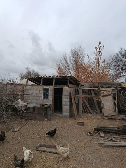 Продается дом, со всеми постройками, возможен торг