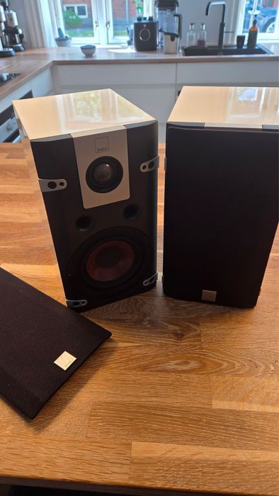 Dali Lektor 1  Dali  Lektor 1