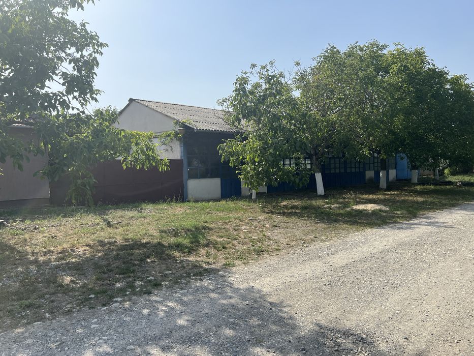 Proprietate cu potential in Sintea Mare