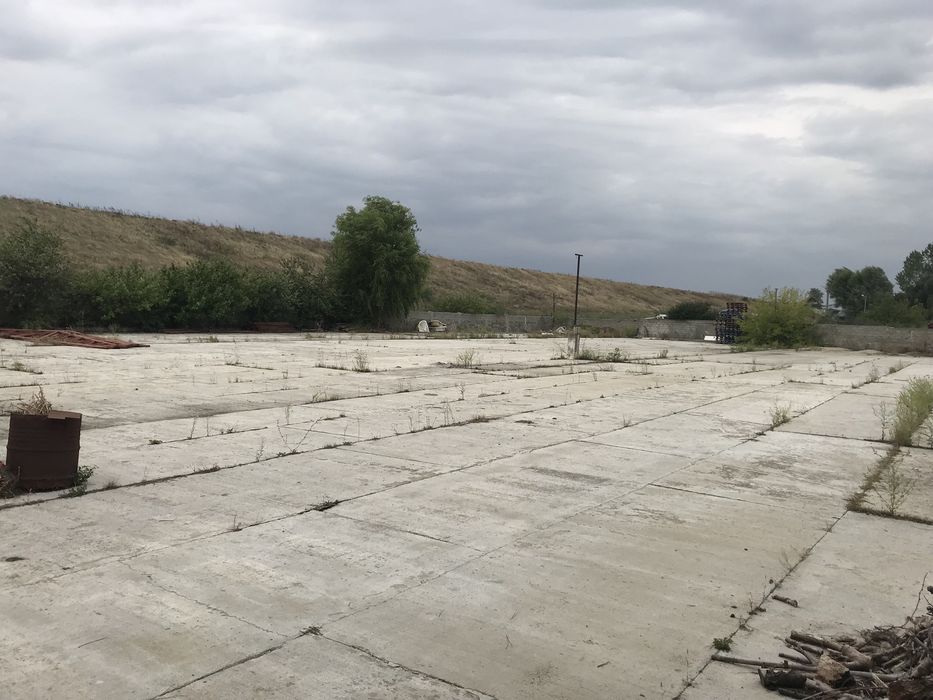 Stradal pe Soseaua Alexandriei