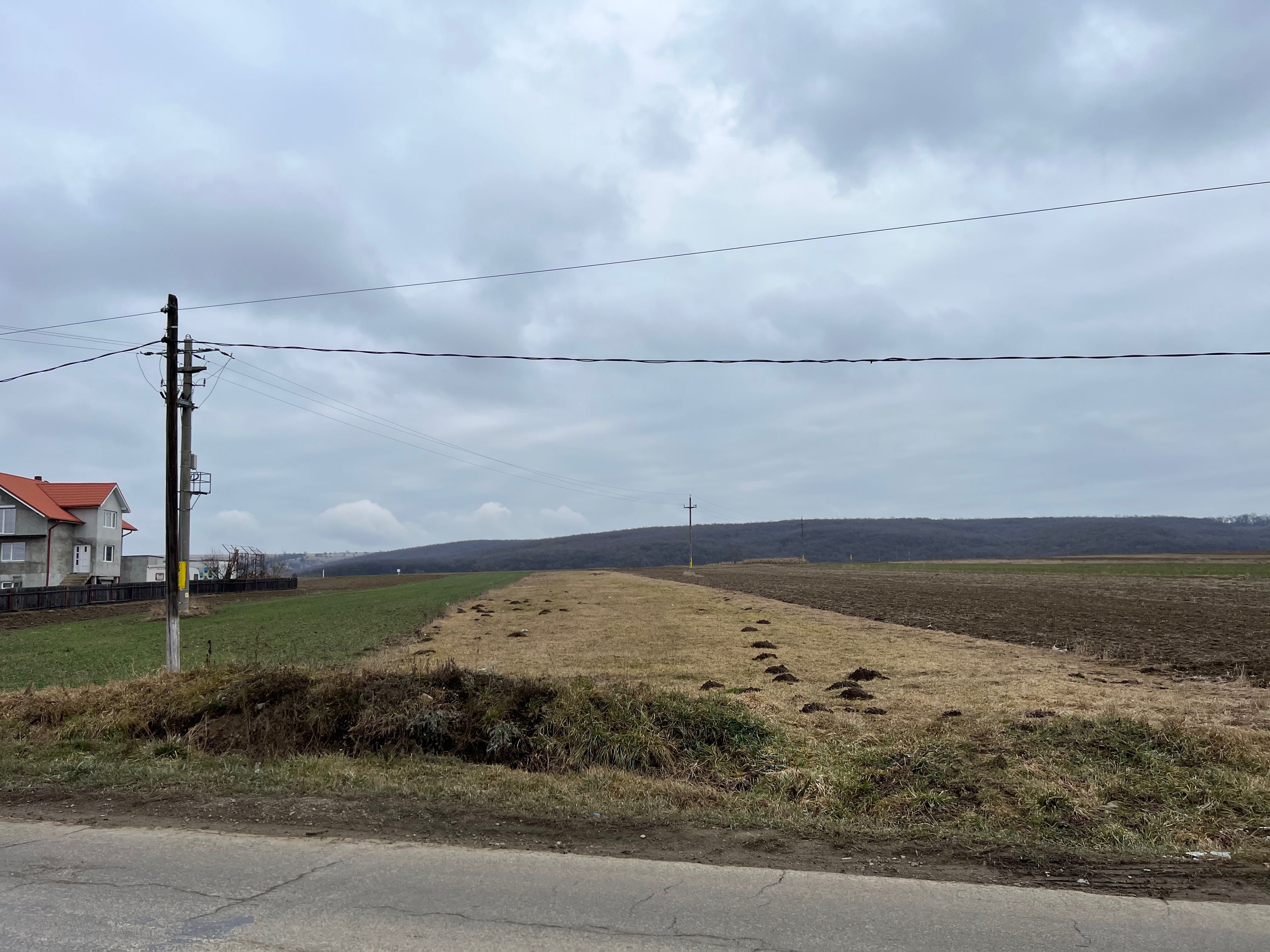 Teren de vânzare în Mitocu Dragomirnei