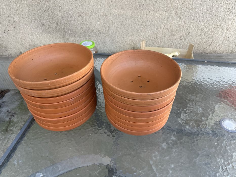 Desființare crescătorie cuibare ceramica porumbei