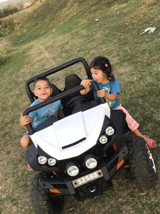 Buggy S2588.        ?!