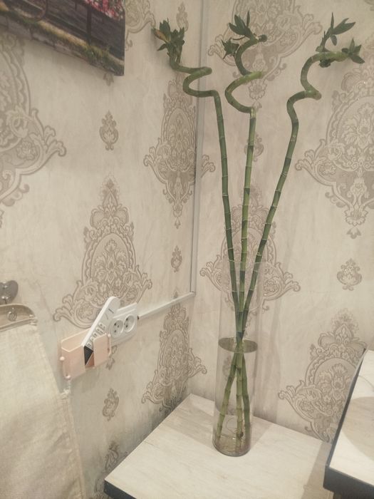 Метровые бамбук три штуки ваза 50 см