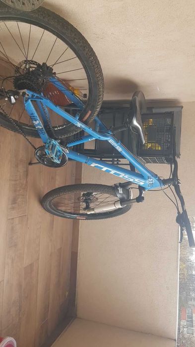 Cross dexter 26"