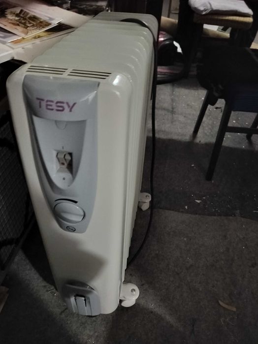 Маслен радиатор теси