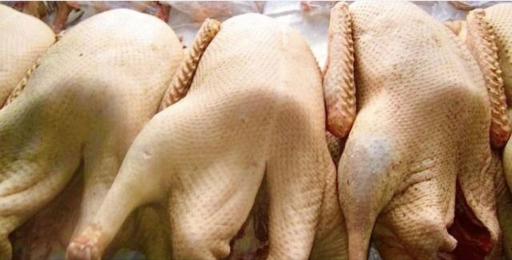 Продам мясо гуся и индейки