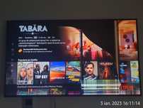 Tv Samsung 55 " piese display defect