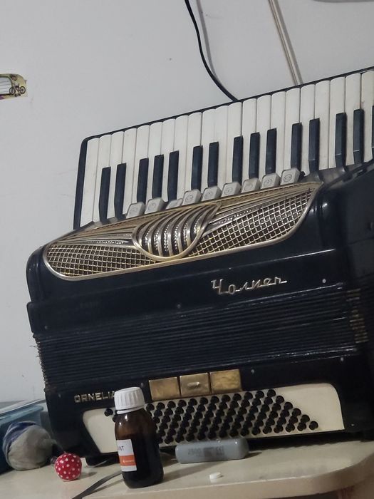 Vând schimb aceste acte acordeon hohner CORNELIA 3 de 96 basi