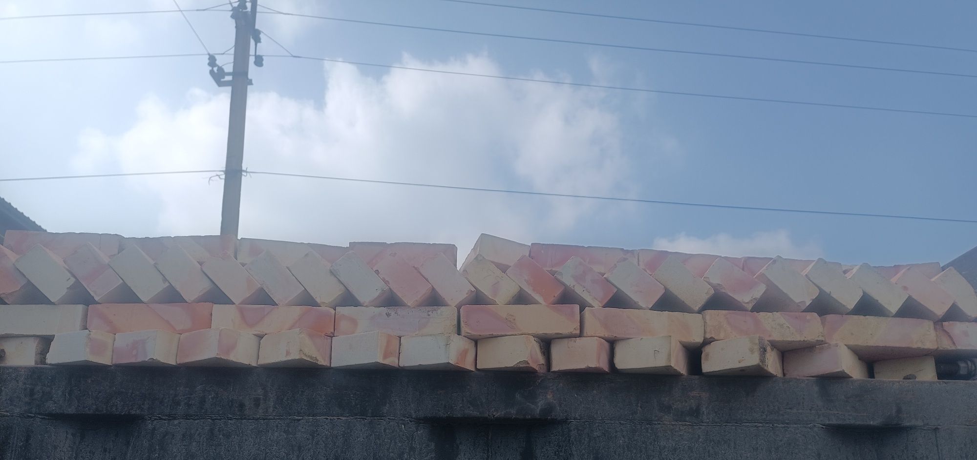 Pishgan gʻishtlar bor