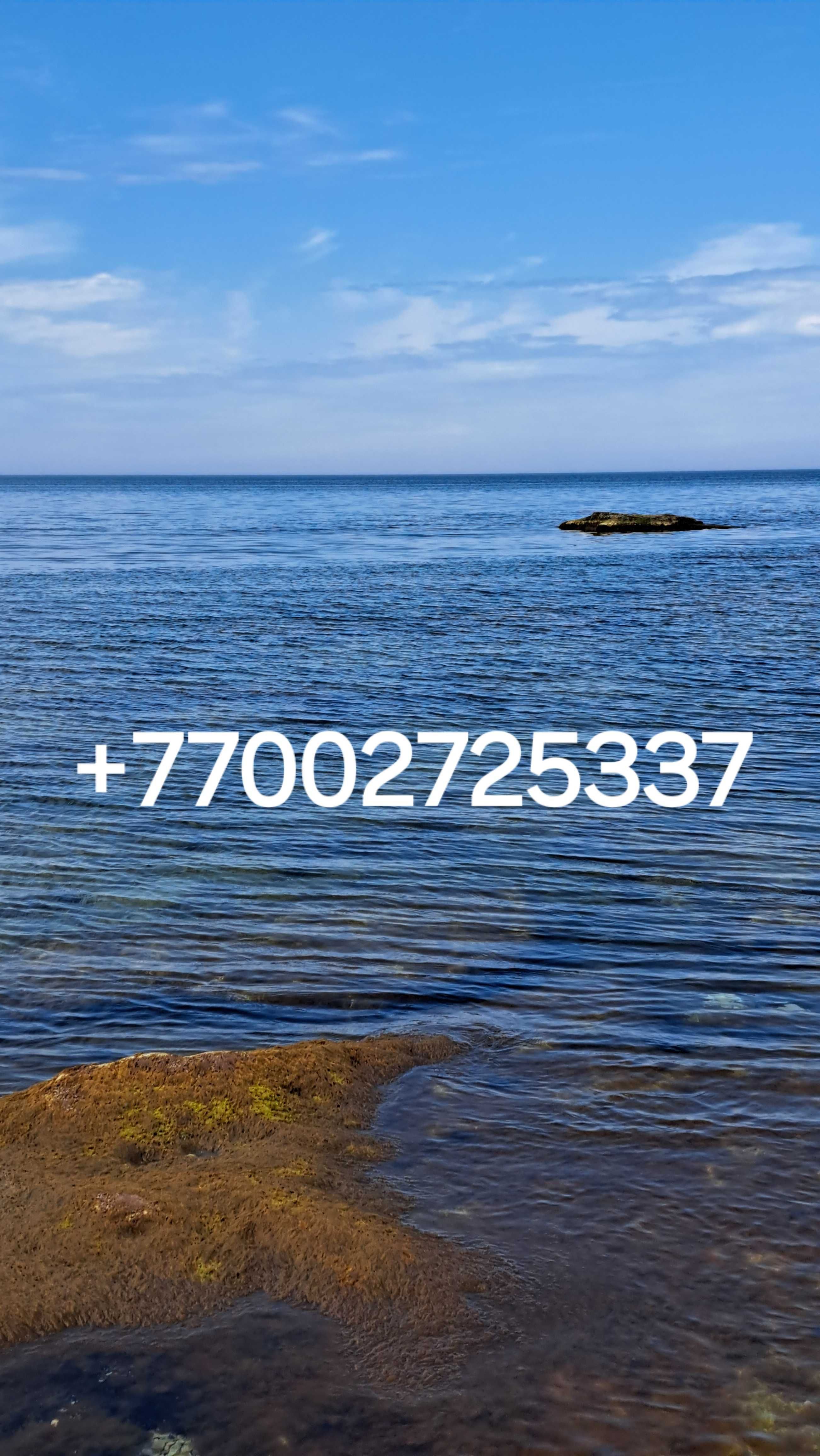 Штатив пртдам высота 130см