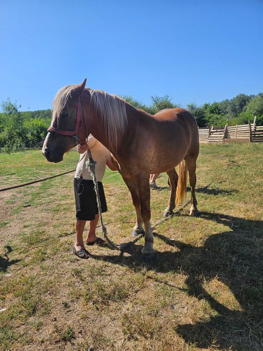Iapa grea 2 ani si 8 luni